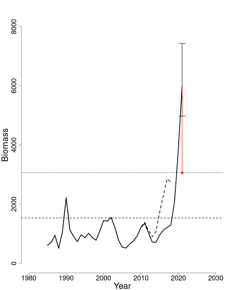 Spawning stock biomass trends over time for Cape Cod-Gulf of Maine yellowtail flounder.
