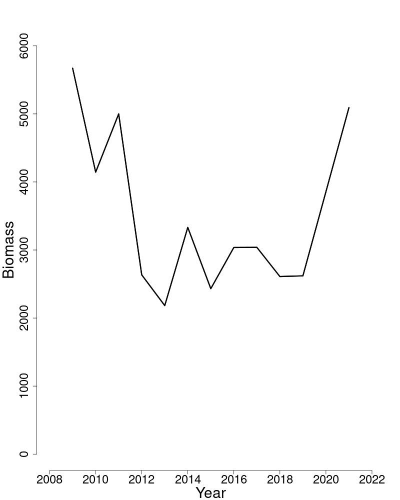 Spawning stock biomass trends over time for Gulf of Maine winter flounder.