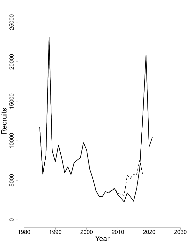Estimated trends in recruitment of Cape Cod-Gulf of Maine yellowtail flounder.