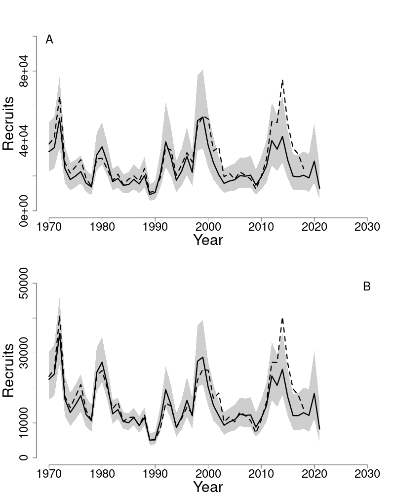 Estimated trends in recruitment of pollock.