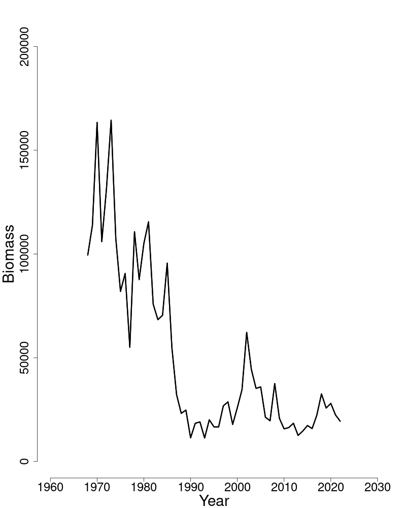 Spawning stock biomass trends over time for witch flounder.