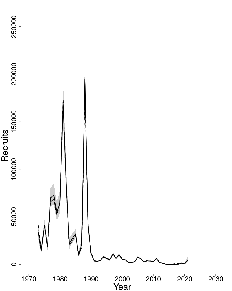 Estimated trends in recruitment of Southern New England/Mid-Atlantic yellowtail flounder.