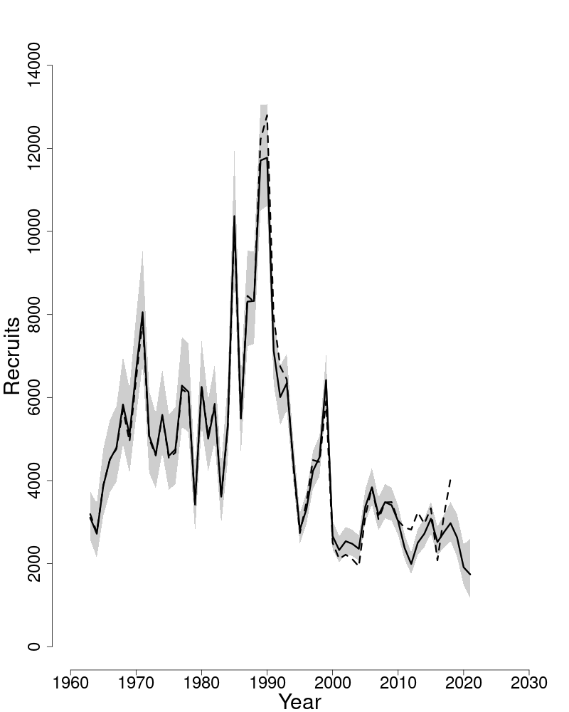 Estimated trends in recruitment of white hake.