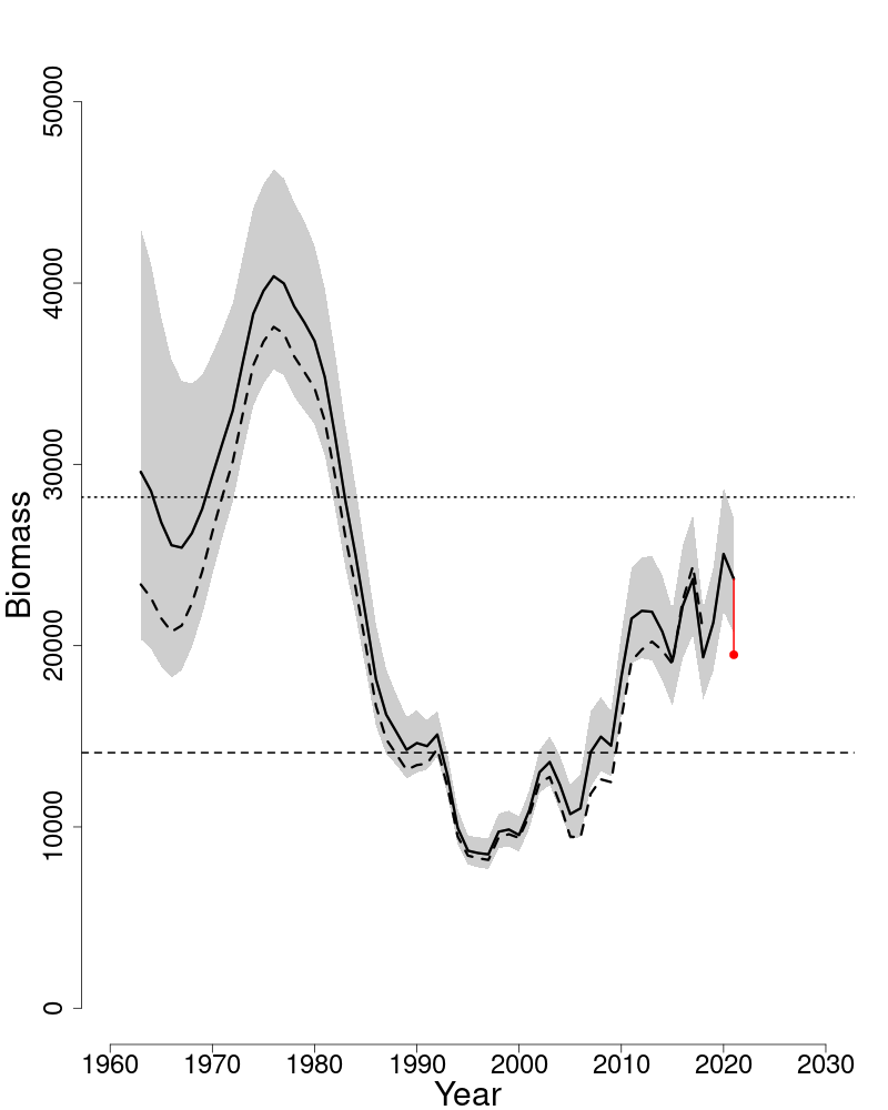 Spawning stock biomass trends over time for white hake.