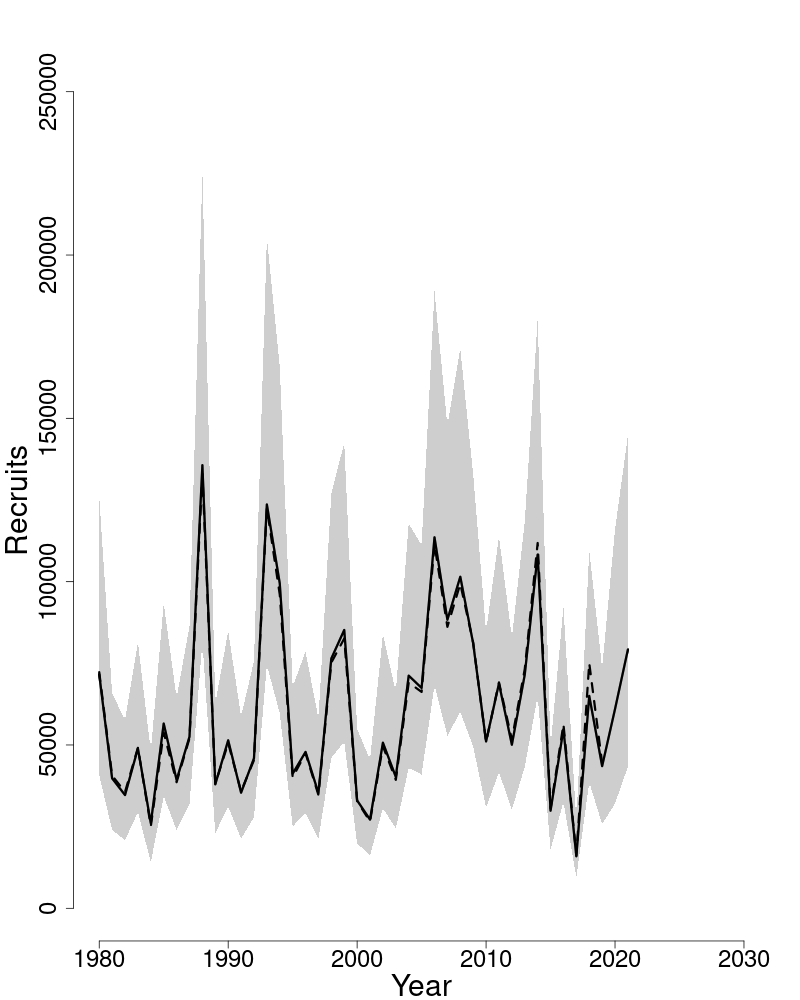 Estimated trends in recruitment of American plaice.