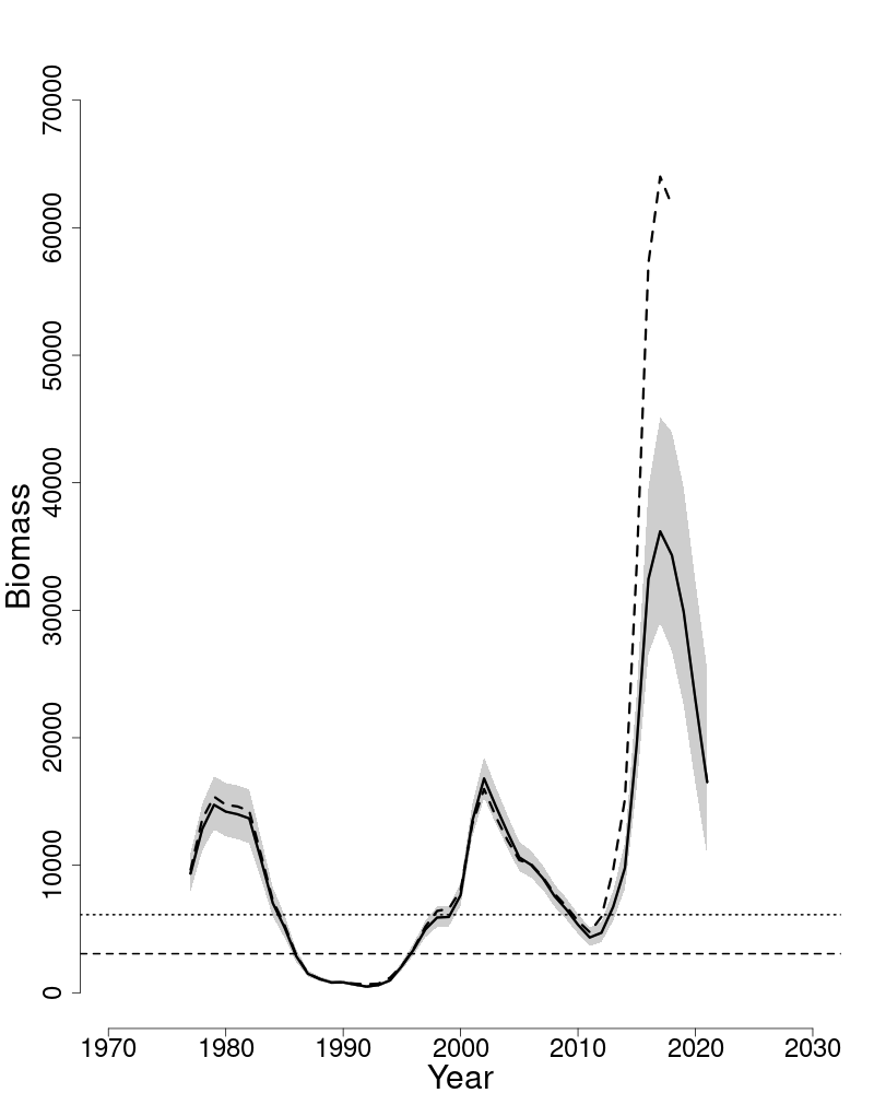 Spawning stock biomass trends over time for Gulf of Maine haddock.