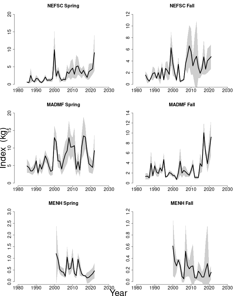 Abundance indices for Cape Cod-Gulf of Maine yellowtail flounder.